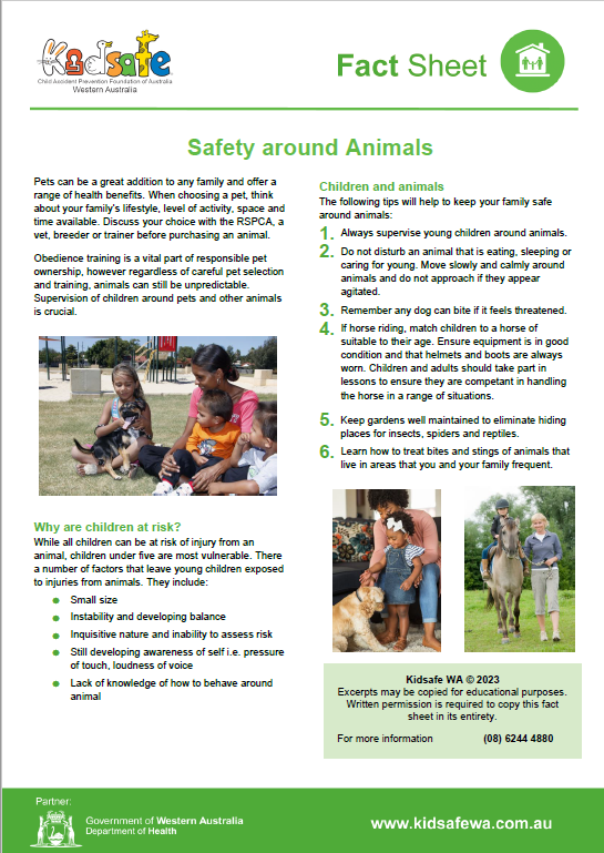 Safety around Animals
